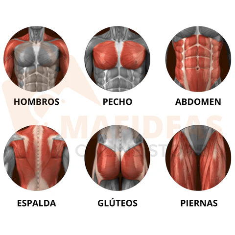 Rueda Abdominal Con Rebote Automático