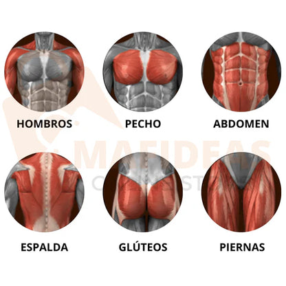 Rueda Abdominal Con Rebote Automático